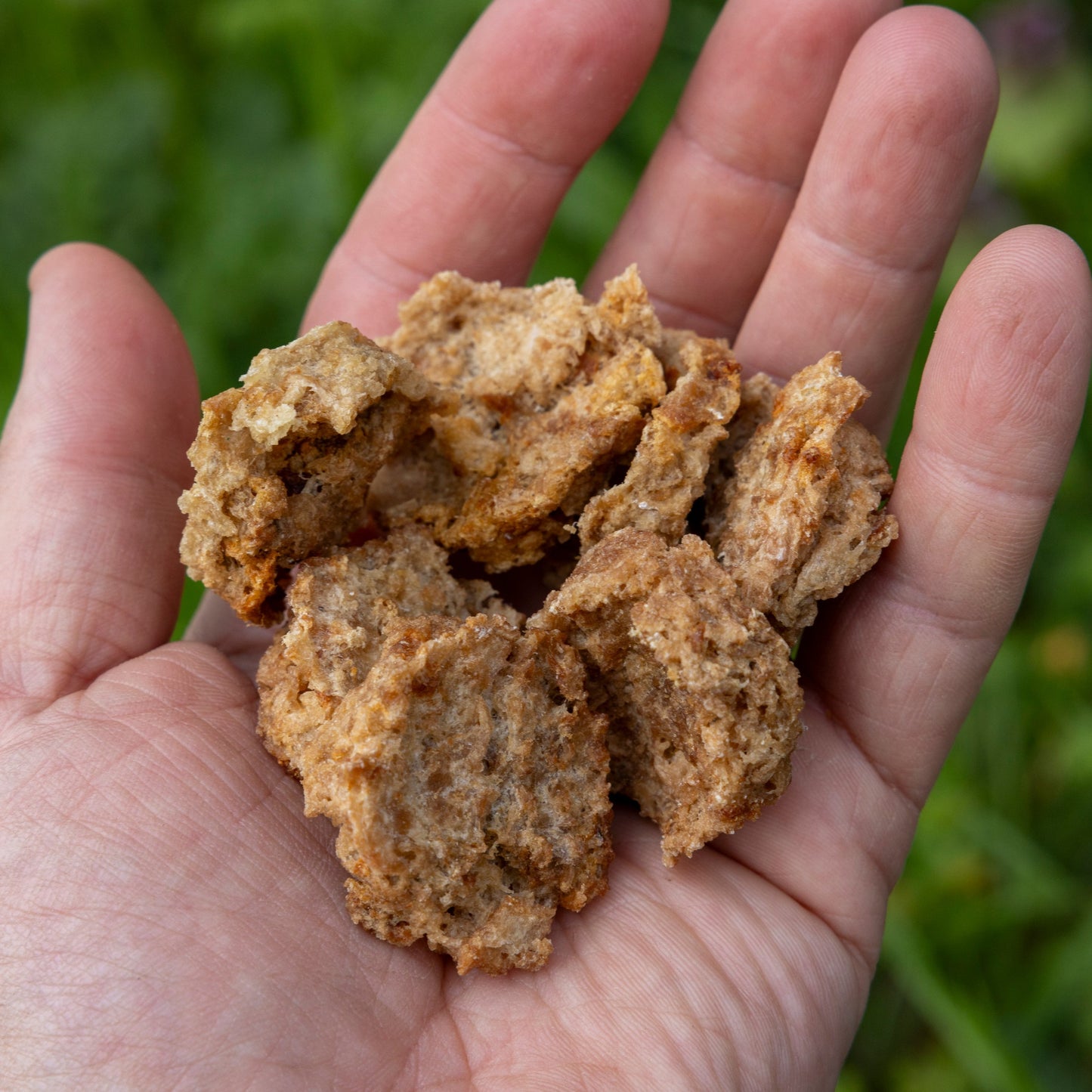 Silver Carp Treats