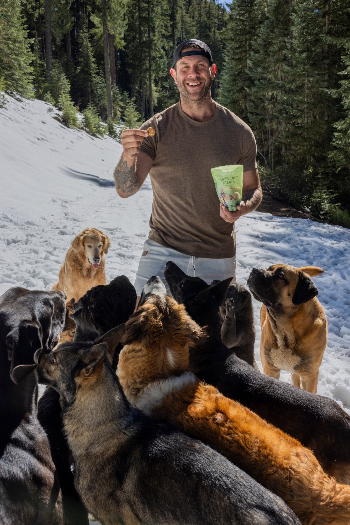 Silver Carp Treats
