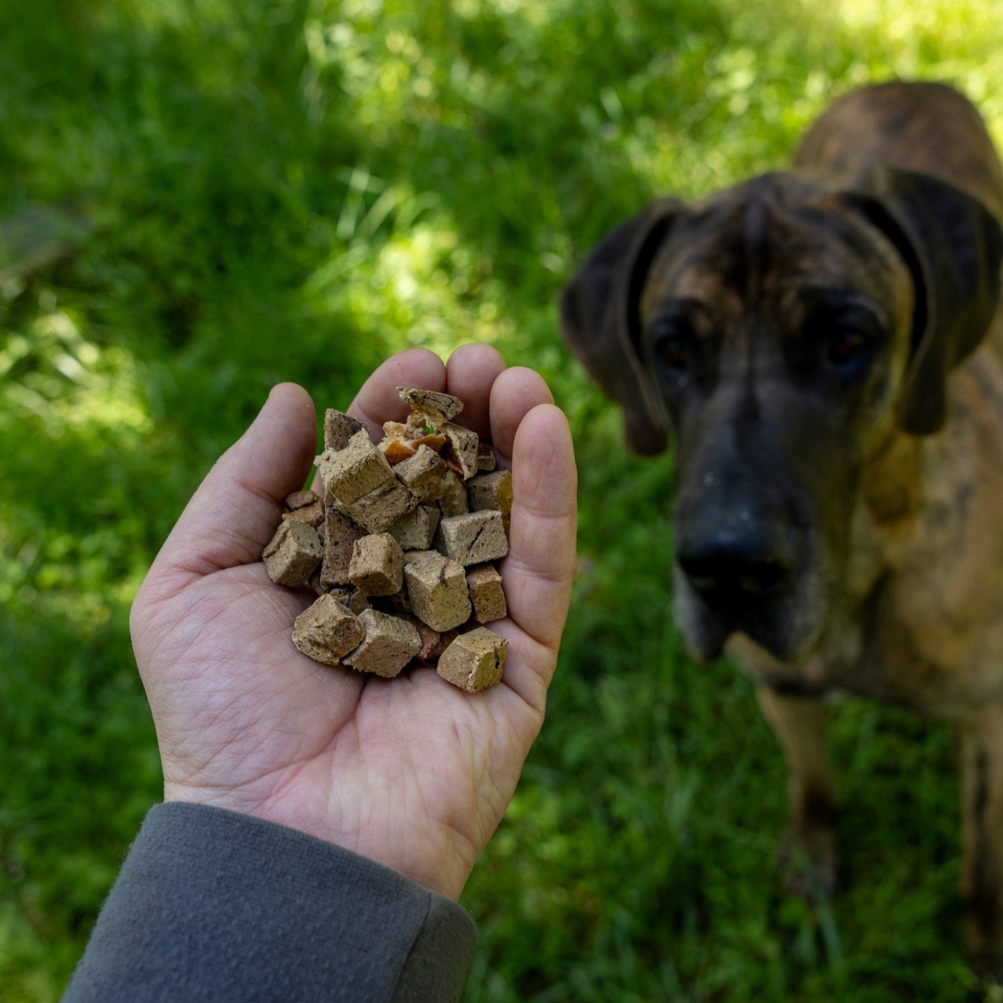 Beef Liver Treats