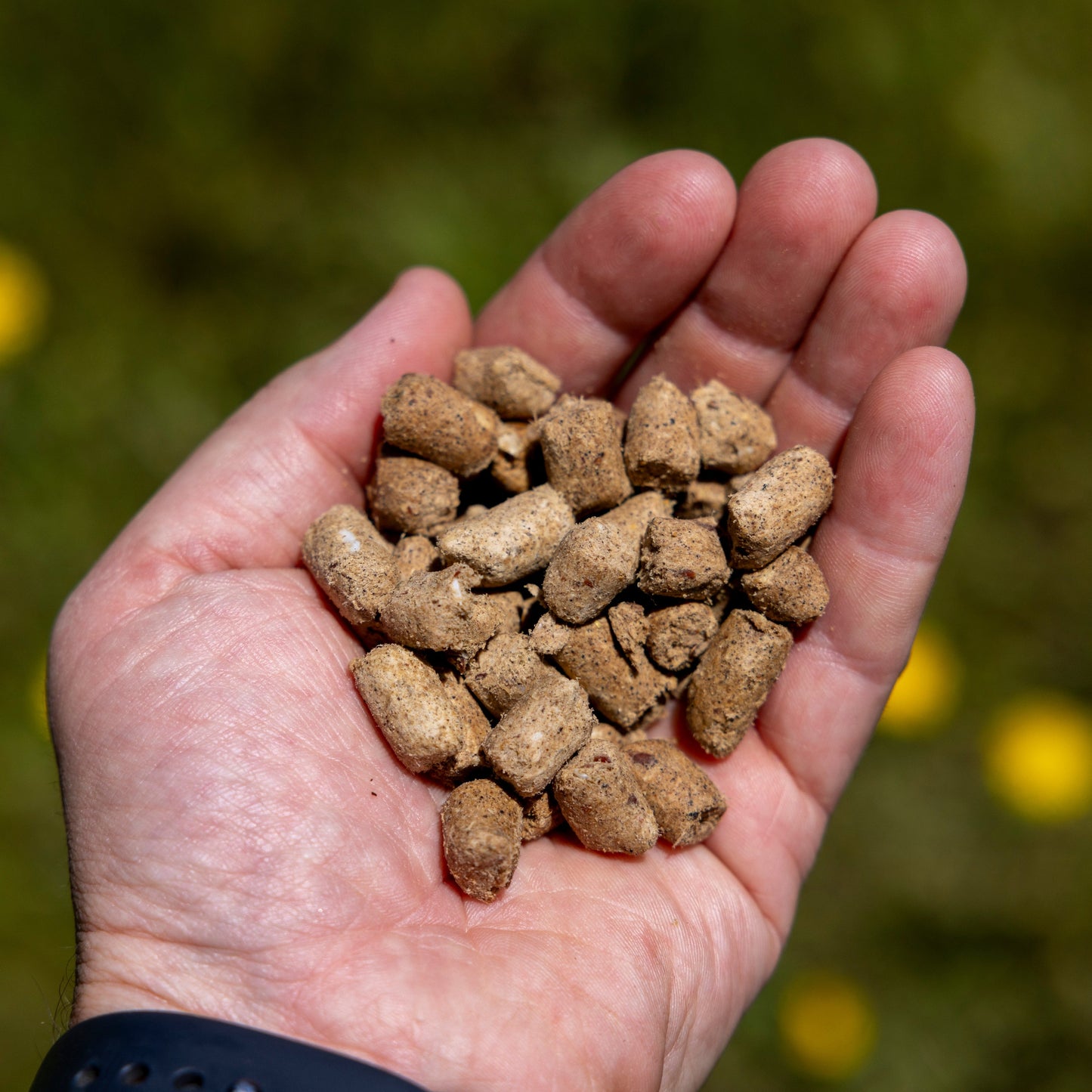 Freeze Dried Silver Carp Cat Treats