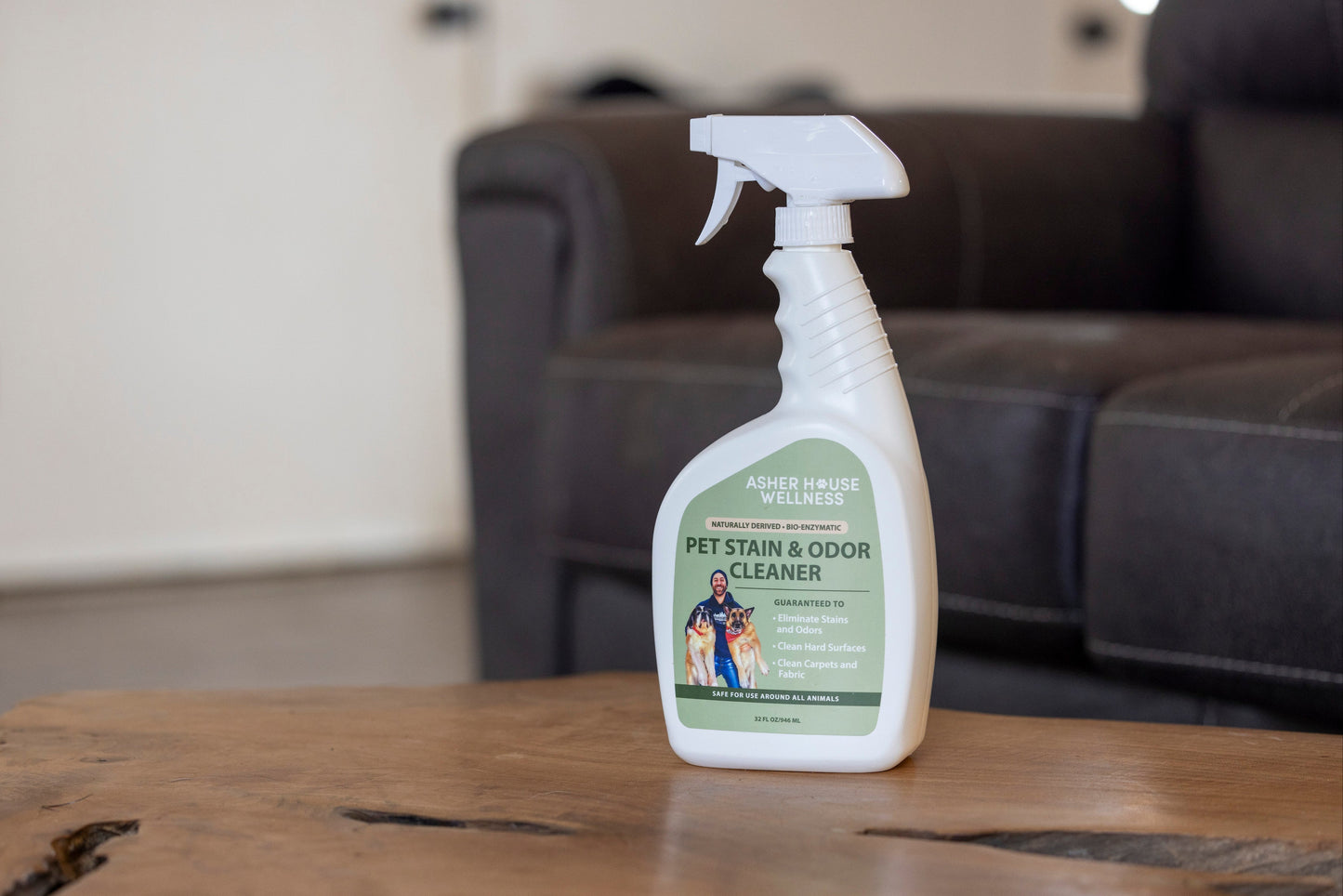 Pet Stain & Odor Cleaner (32FL OZ)