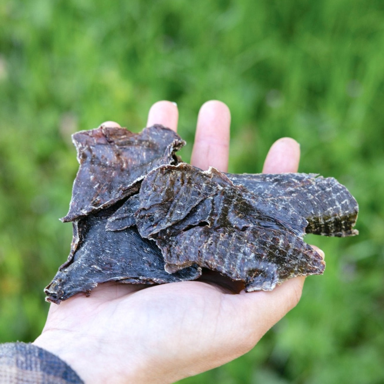 Beef Heart Treats