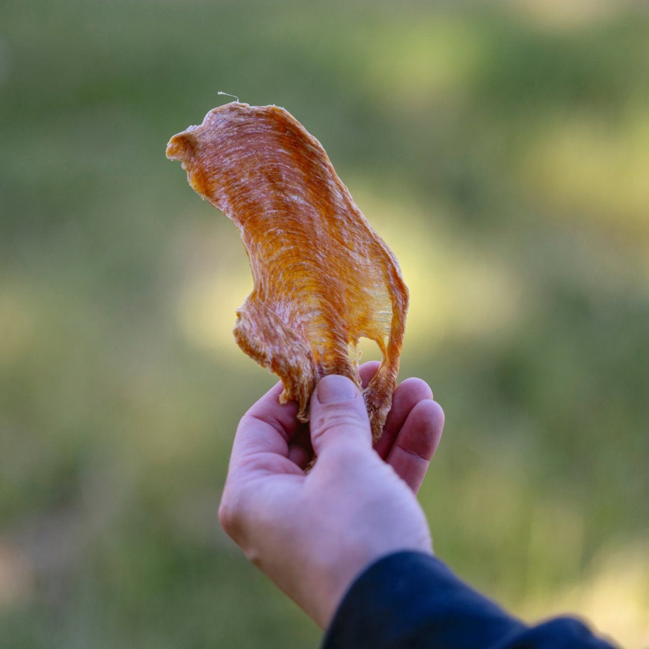 Chicken Breast Treats