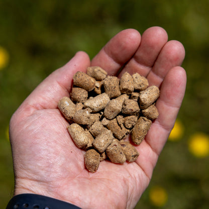 Freeze Dried Silver Carp Cat Treats