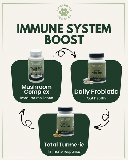 Daily Probiotic