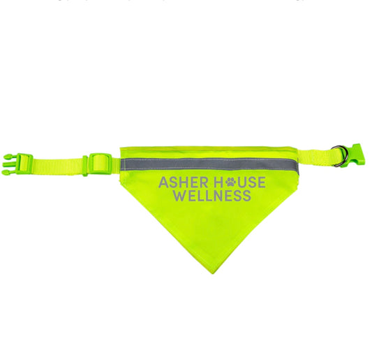 Reflective Dog Safety Bandana