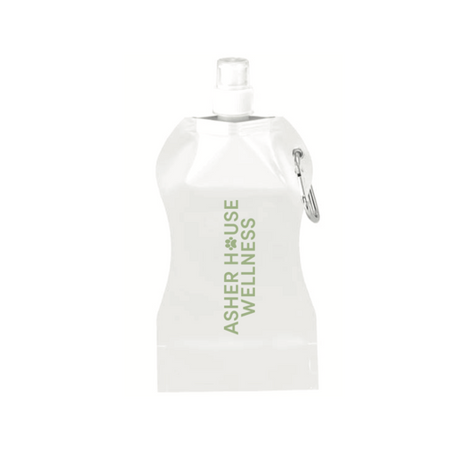 Collapsible Water Bottle
